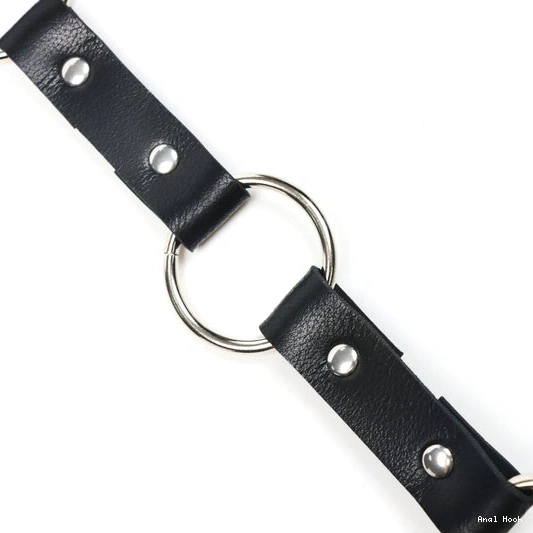 Anal Collar 5853 with and Leash EverydayUse Hook Kinky 1105